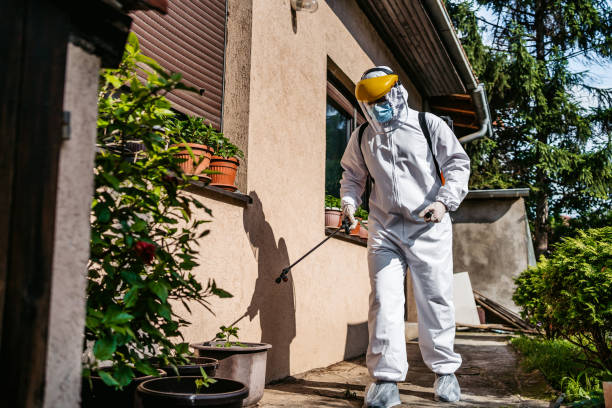 Best Commercial Pest Control Services  in Dalton, OH
