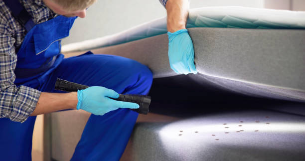 Best Exterminator Services  in Dalton, OH
