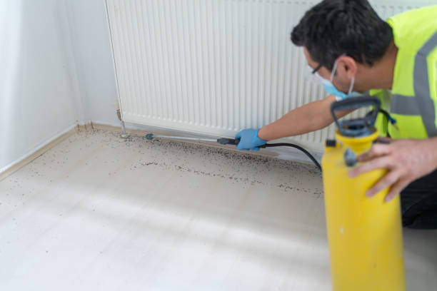Best Bed Bug Extermination  in Dalton, OH