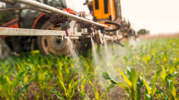 Professional Pest Control in Dalton, OH