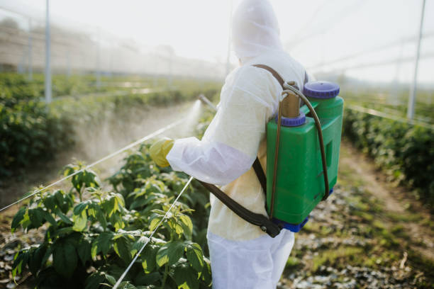Best Best Pest Control Companies  in Dalton, OH